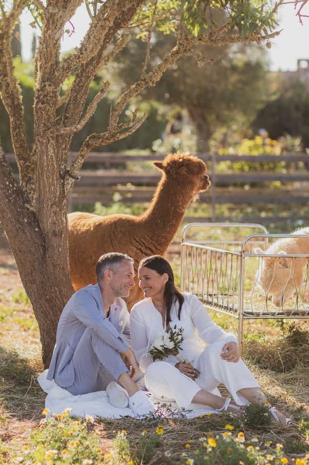 Hochzeit Fotoshooting mit Alpacas - Fotógrafa Anieska