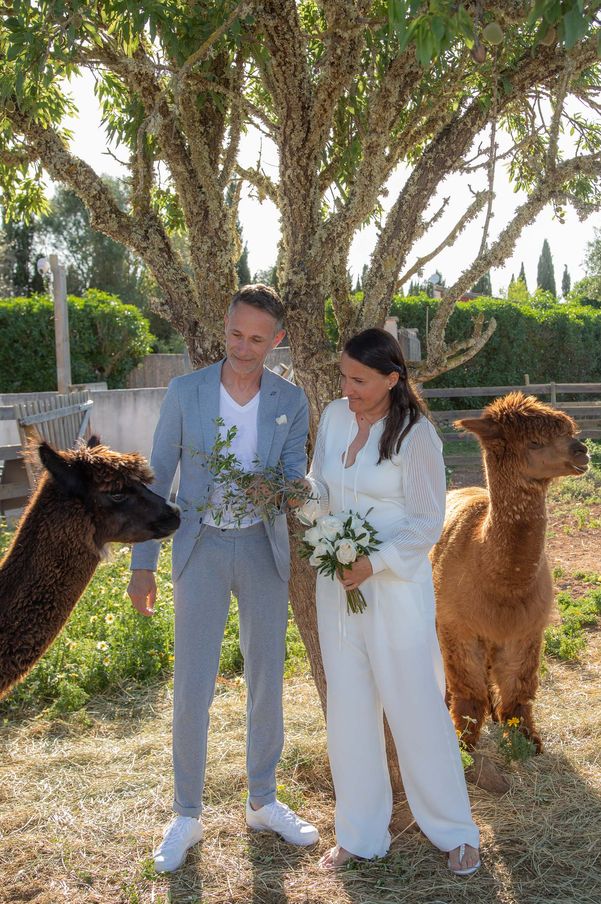 Hochzeit Fotoshooting mit Alpacas - Fotógrafa Anieska