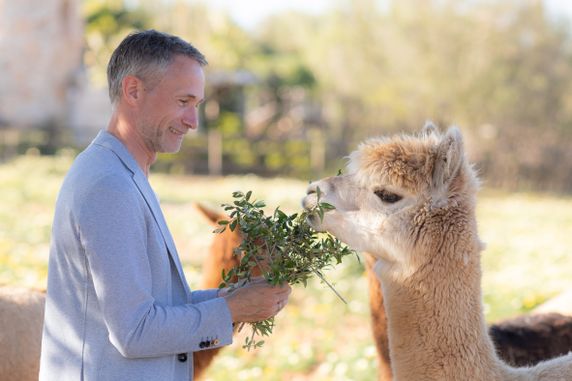 Fotoshooting mit Alpacas - Fotógrafa Anieska
