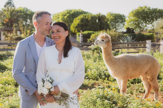 Hochzeitsfotos mit Alpacas - Fotógrafa Anieska