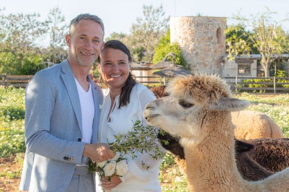 Hochzeitsfotos mit Alpacas - Fotógrafa Anieska