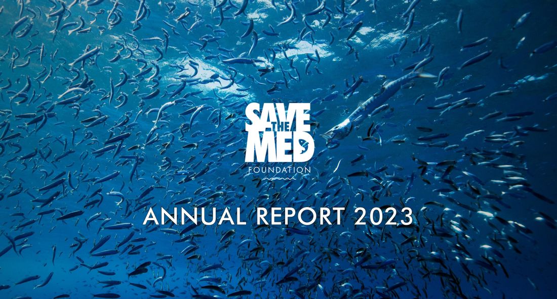 Informe Anual 2023
