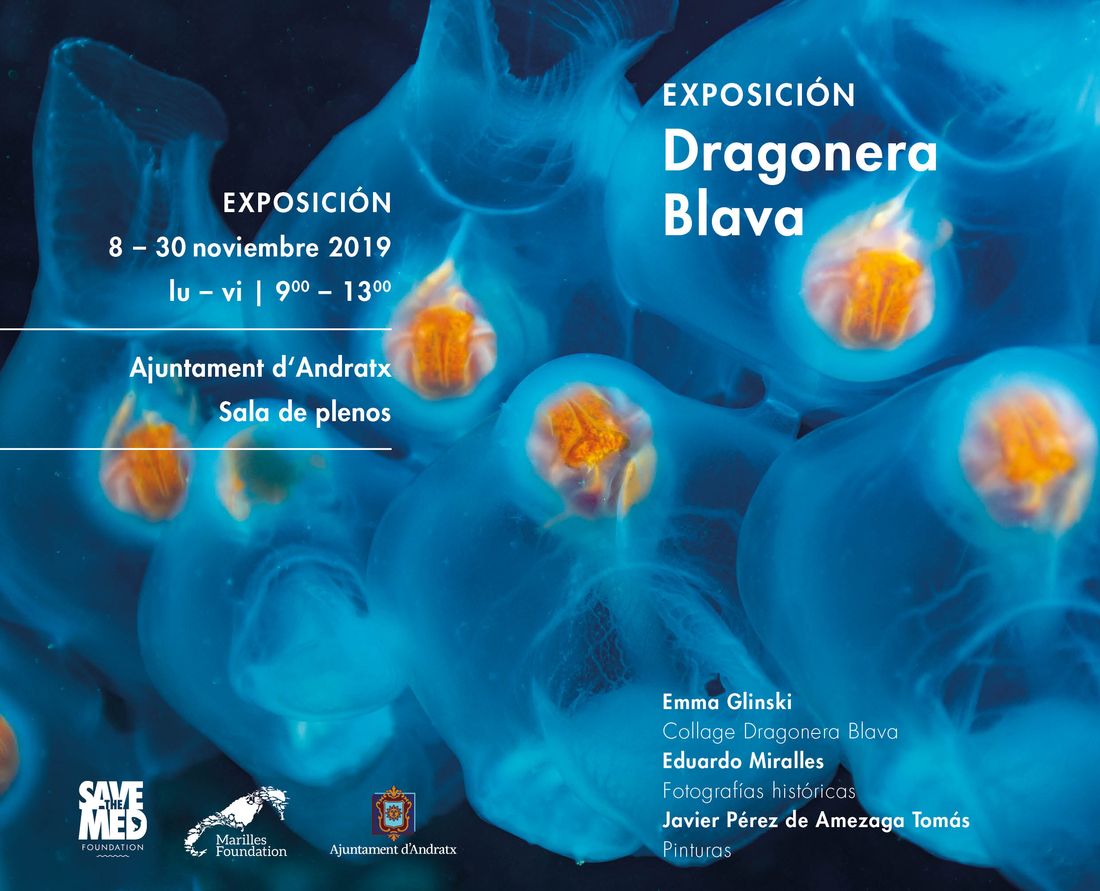 Visit the exhibition 'Dragonera Blava'