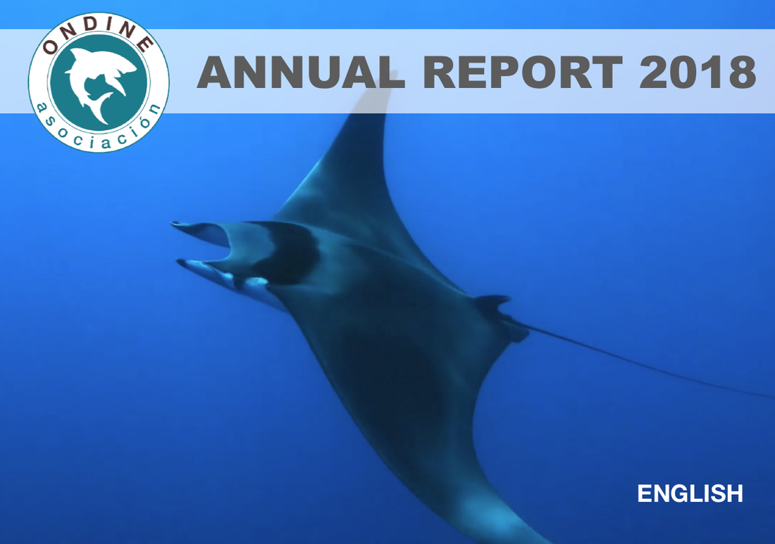 Annual Report 2018