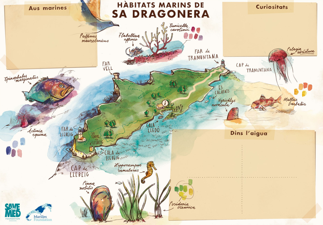 Mapa sobre los habitats marinos de Sa Dragonera