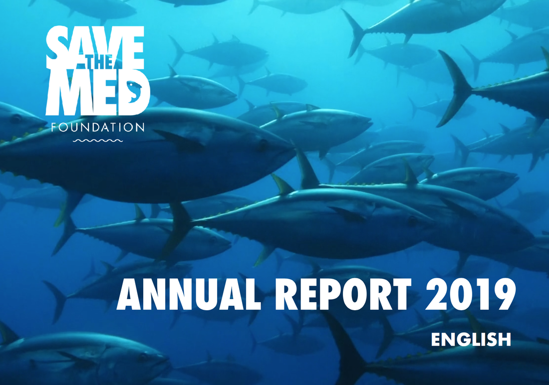 Annual Report 2019